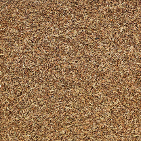 ORGANIC CUMIN SEEDS, whole